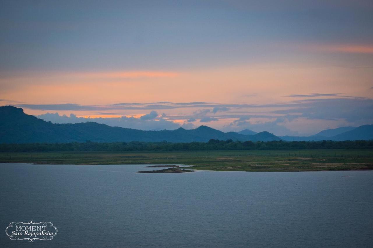 Ali Weta Safari Resort ウダワラウェ エクステリア 写真
